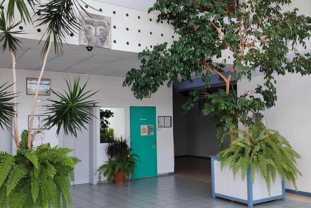 Studio Calais Front De Mer-Le Cocon Du Dragon-Classe 3 Etoiles Exteriör bild