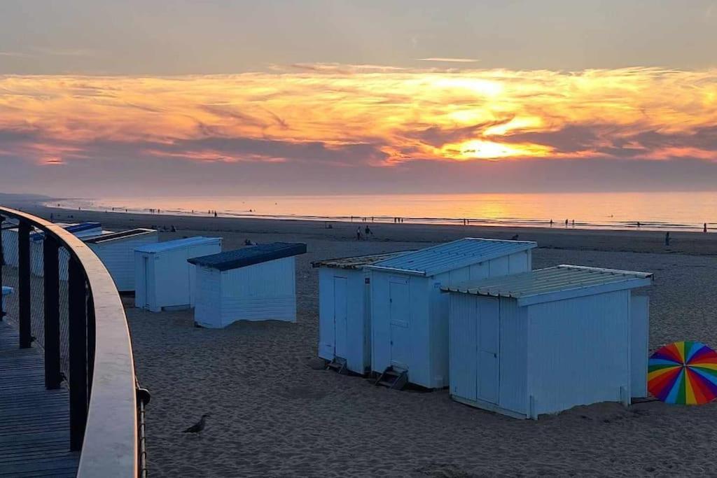 Studio Calais Front De Mer-Le Cocon Du Dragon-Classe 3 Etoiles Exteriör bild